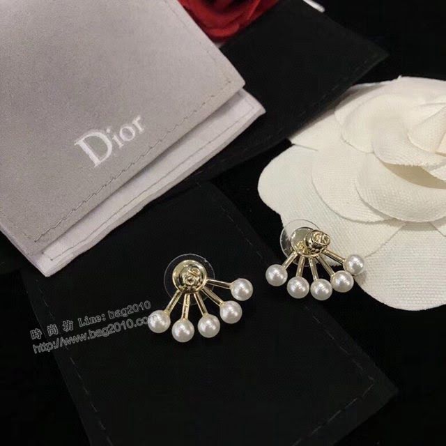 Dior飾品 迪奧經典熱銷款復古CD耳釘耳環  zgd1196